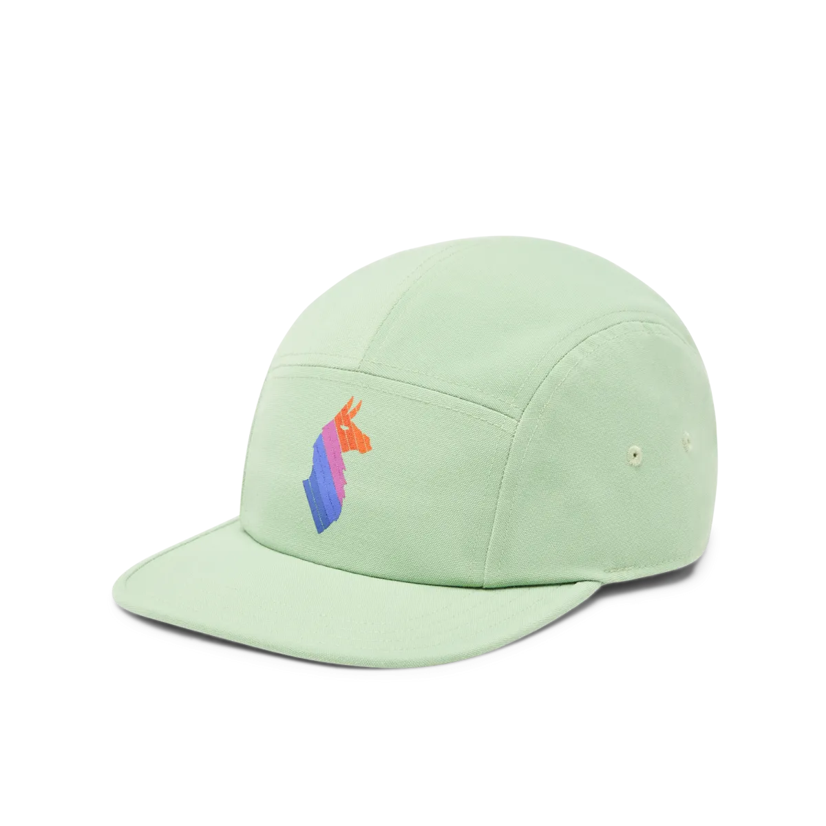 Llama Stripes 5-Panel Hat