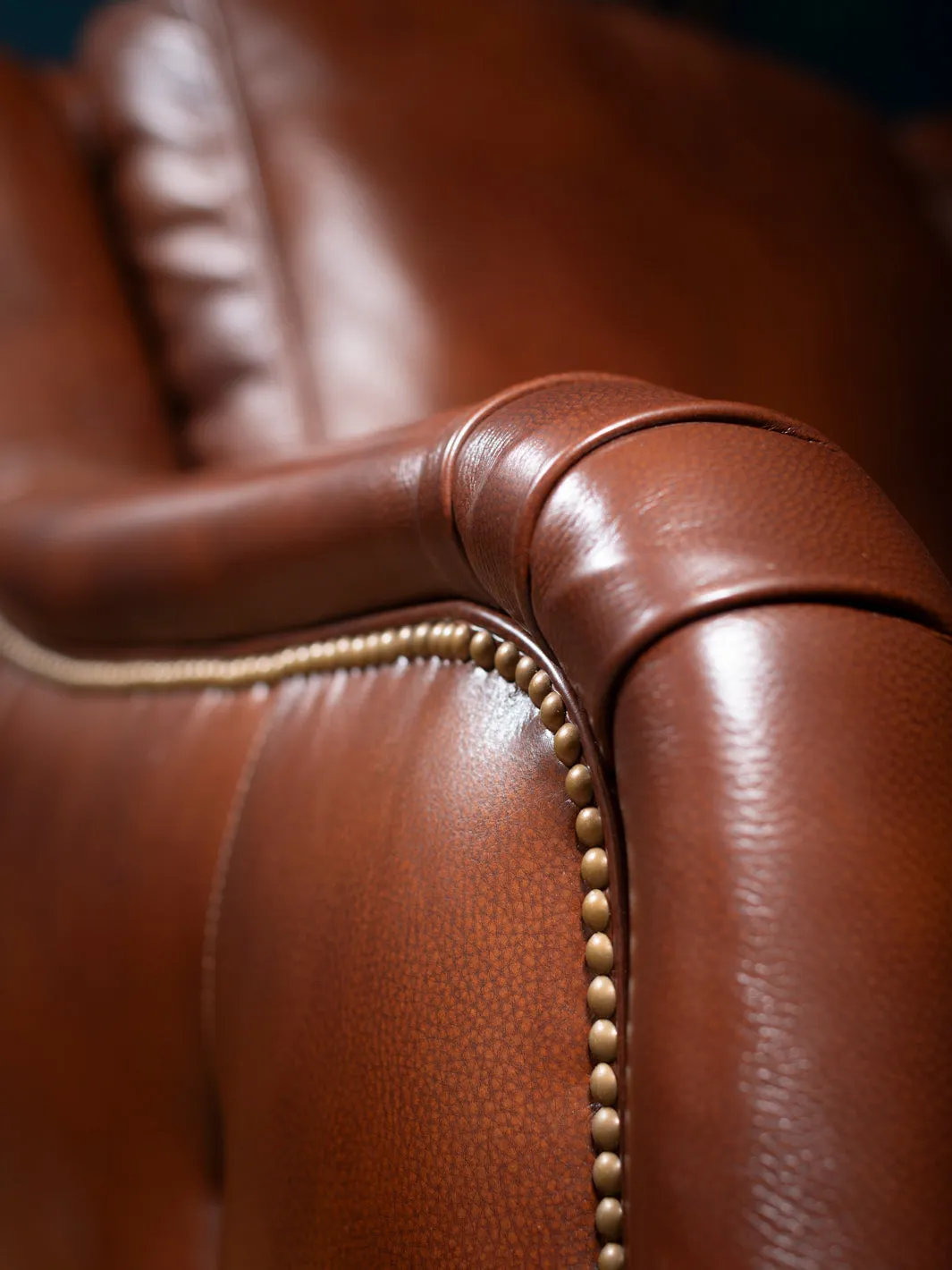 Luxury Sundance Portfolio Leather Recliner