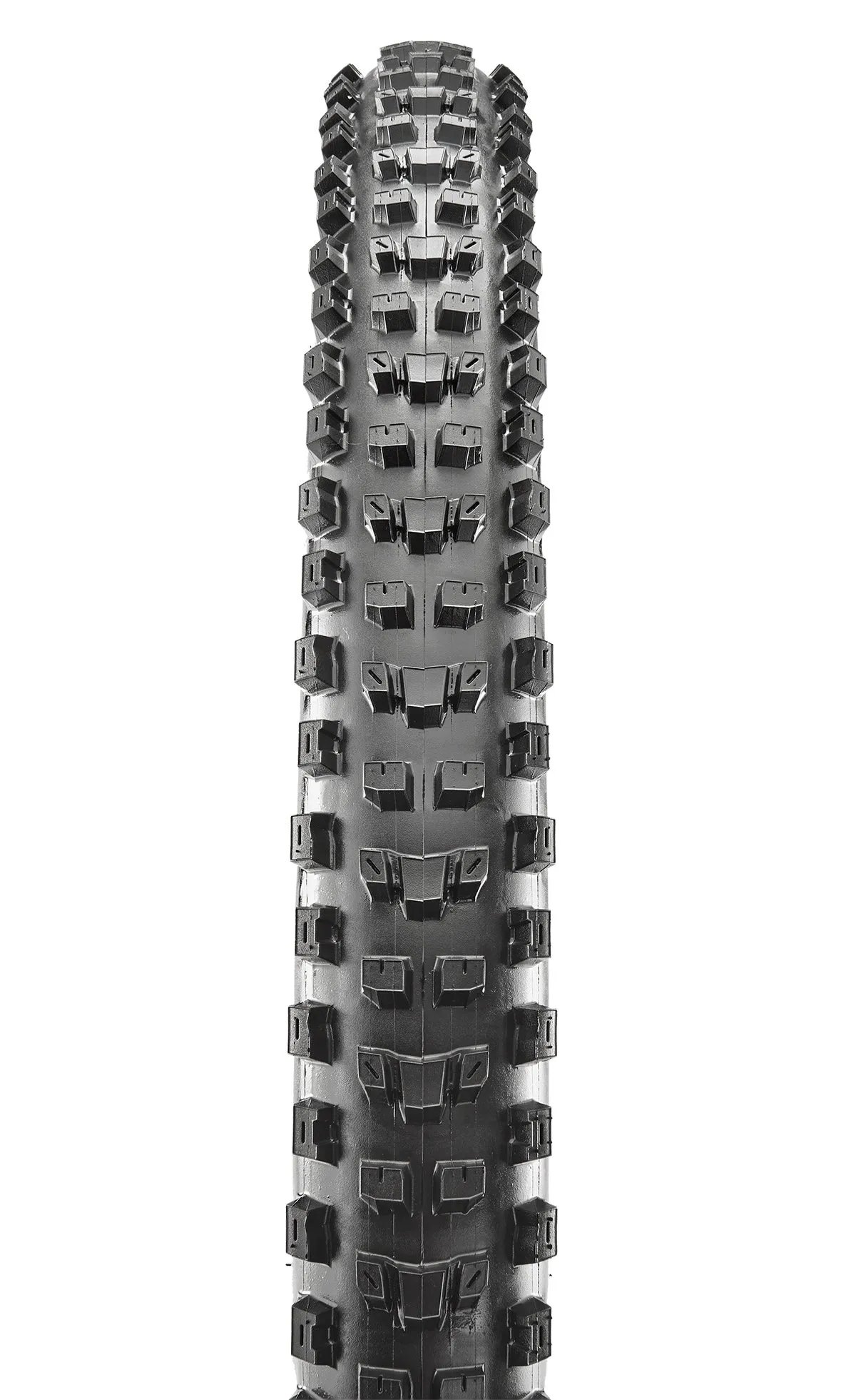 Maxxis Dissector Tire - 29 x 2.4, Tubeless, Folding, Black, 3C Maxx Terra, Double Down